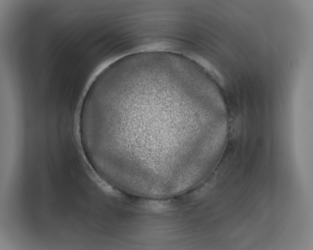 X0000110871086200906251224