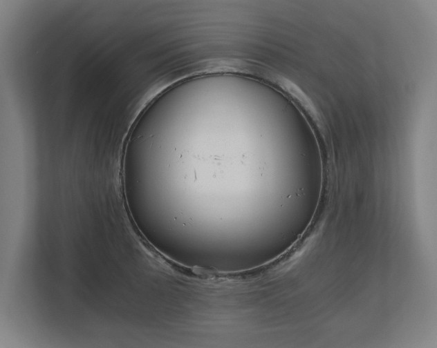 X0000110871089200906251223