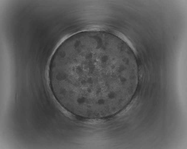 X0000110871091200906251223