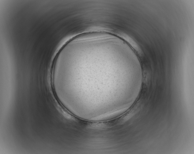 X0000110871094200906251223