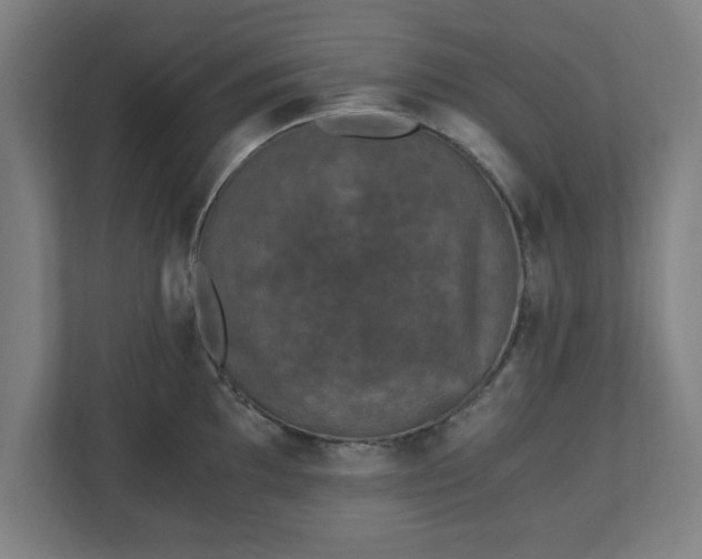 X0000110871097200906251223