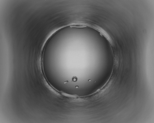 X0000110871100200906251223