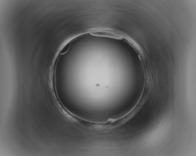 X0000110871102200906251223