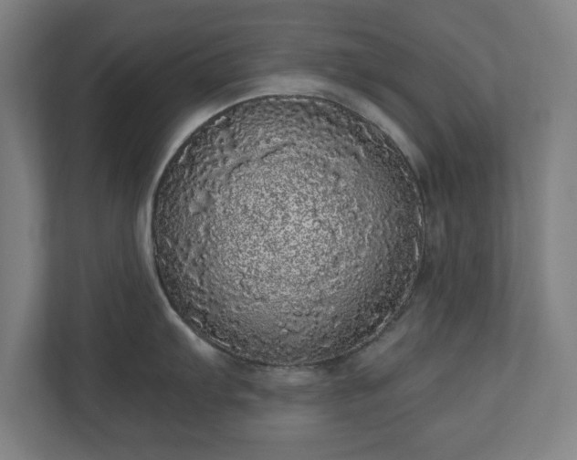 X0000110871103200906251223