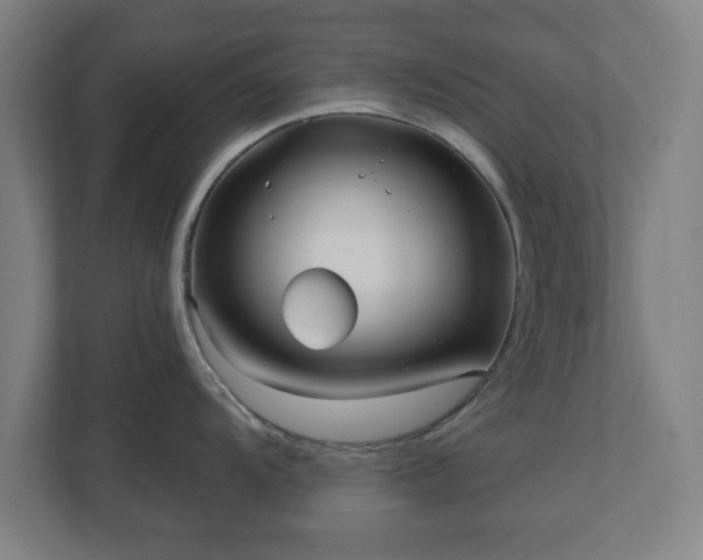 X0000110871104200906251223