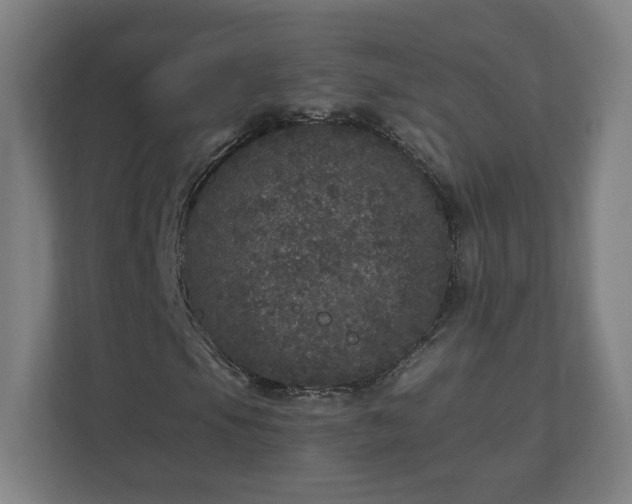 X0000110871105200906251223