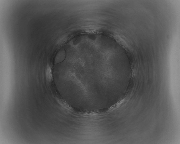 X0000110871106200906251223