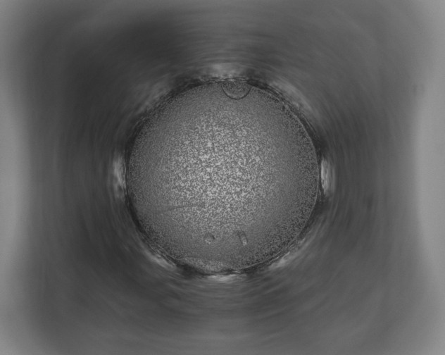 X0000110871107200906251223