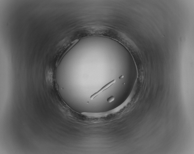 X0000110871108200906251223