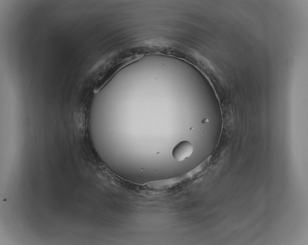 X0000110871110200906251223