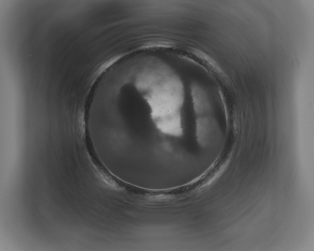 X0000110871113200906251223