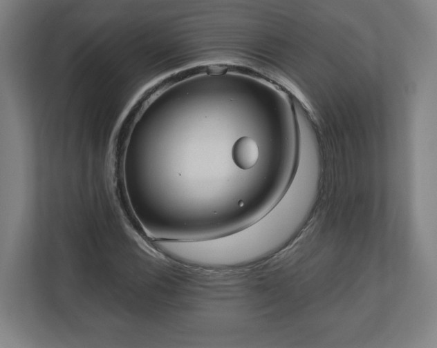 X0000110871116200906251223