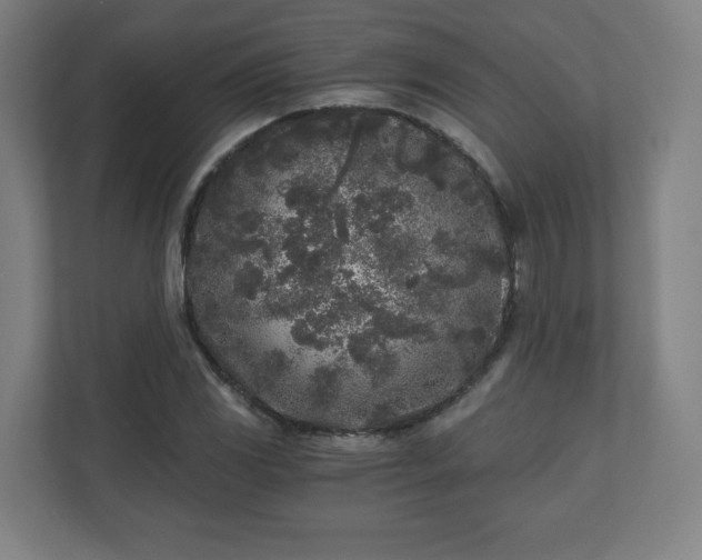 X0000110871117200906251223