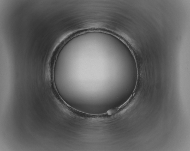 X0000110871118200906251223