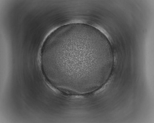 X0000110871119200906251223