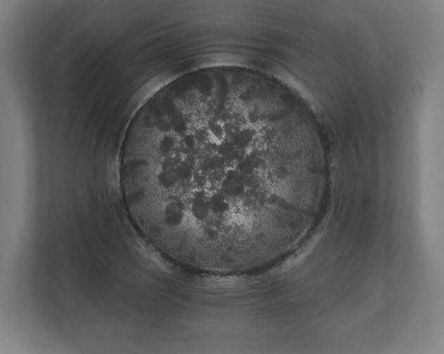 X0000110871121200906251223