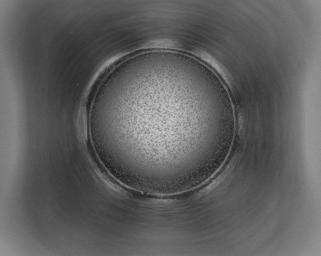 X0000110871123200906251223