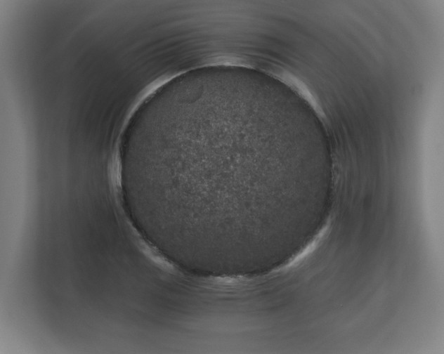 X0000110871125200906251223