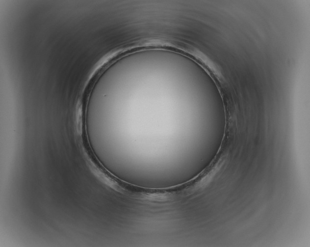 X0000110871126200906251223