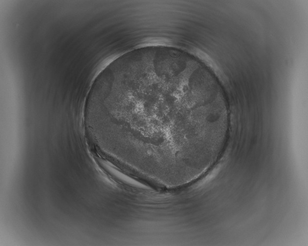 X0000110871129200906251223