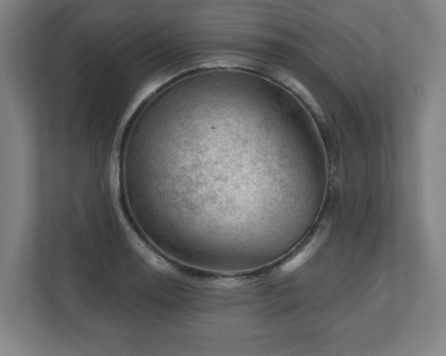 X0000110871130200906251223