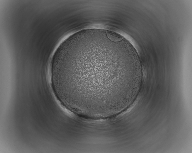 X0000110871131200906251223