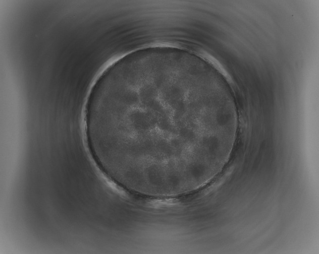 X0000110871133200906251223