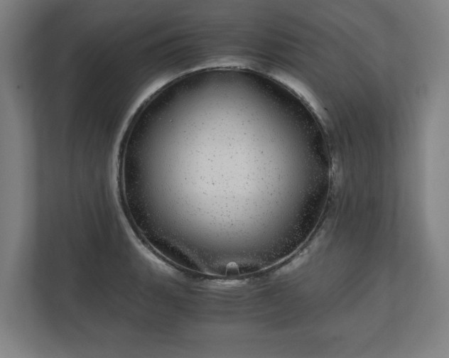 X0000110871135200906251223