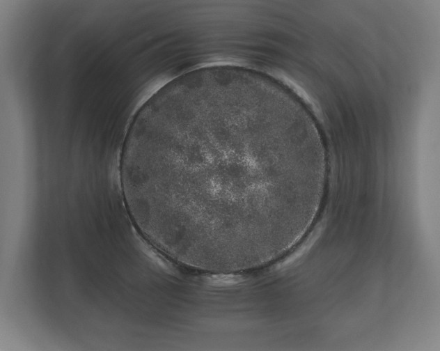 X0000110871137200906251223