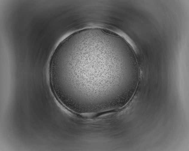 X0000110871143200906251223