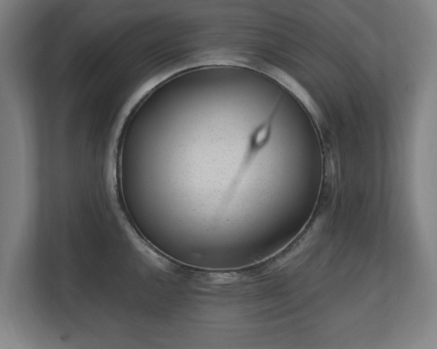 X0000110871144200906251223