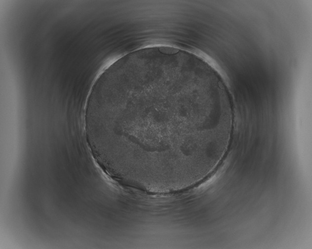 X0000110871145200906251223