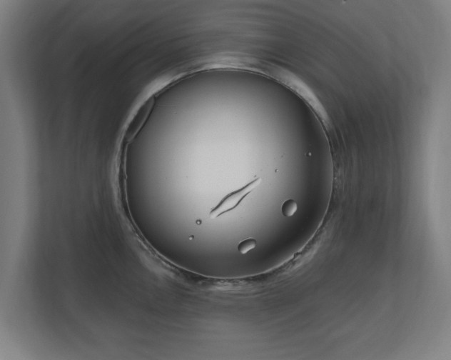 X0000110871146200906251223