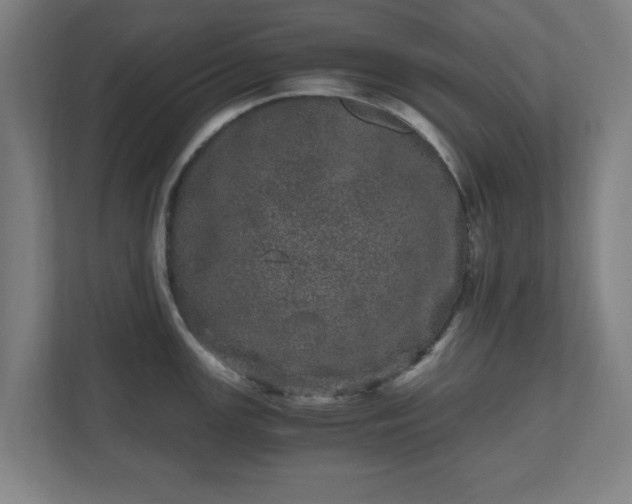 X0000110871147200906251223