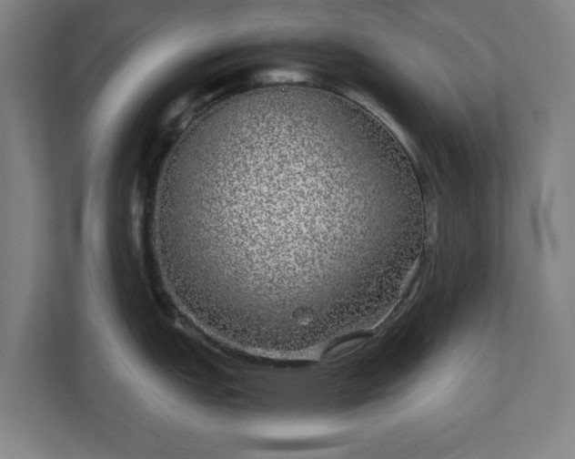 X0000110871151200906251223