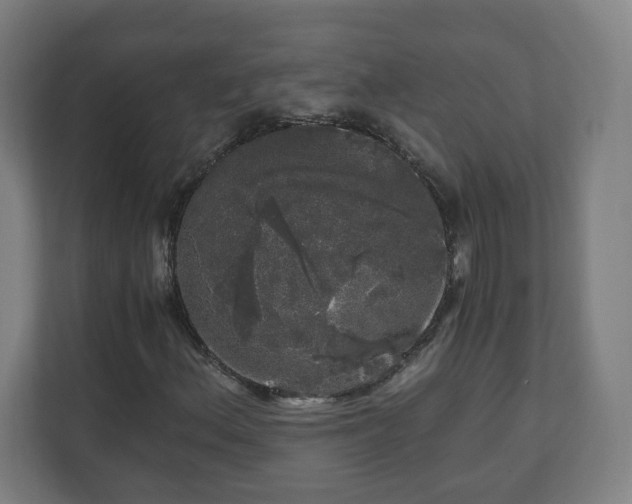 X0000110871156200906251223