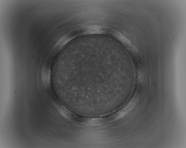 X0000110871161200906251223