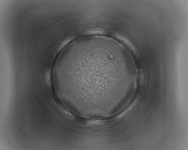 X0000110871162200906251223