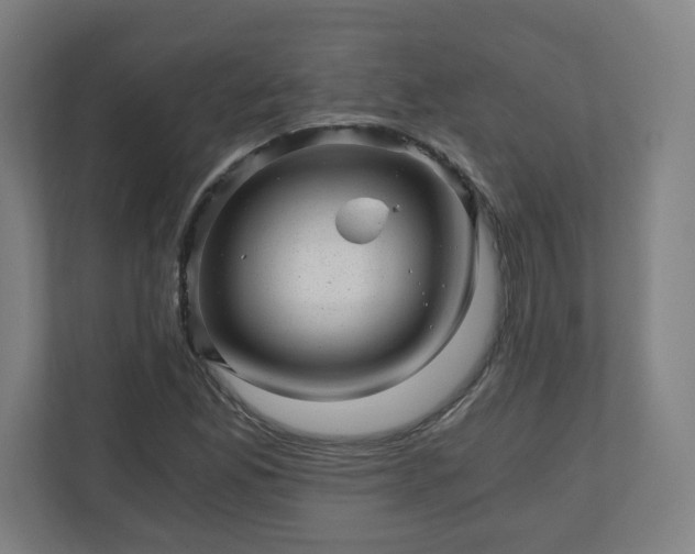 X0000110871165200906251222