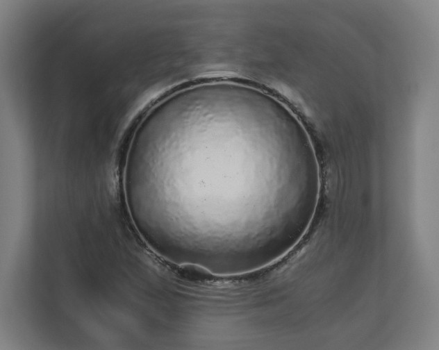 X0000110871167200906251222