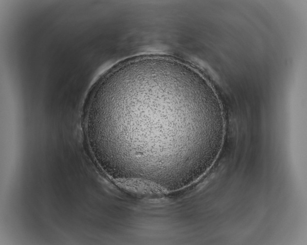 X0000110871168200906251222