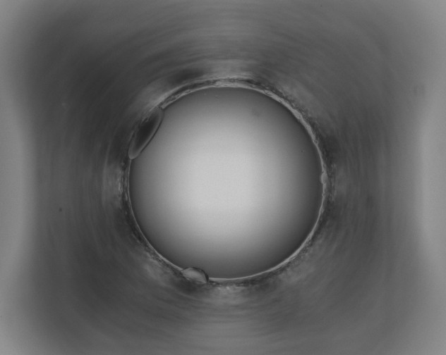 X0000110871169200906251222