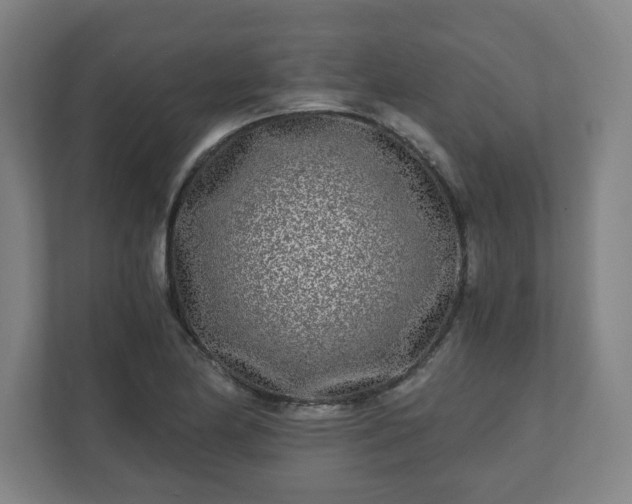 X0000110871174200906251222