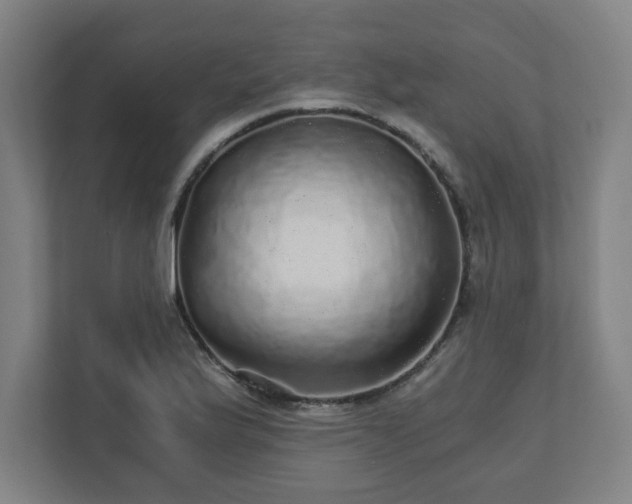 X0000110871175200906251222