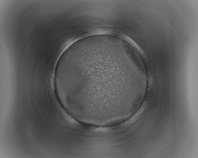 X0000110871178200906251222