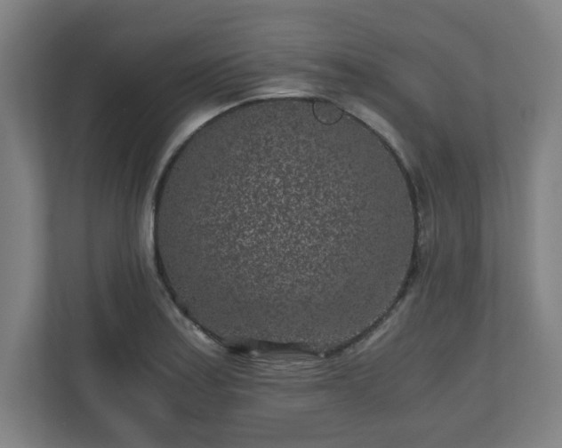 X0000110871179200906251222