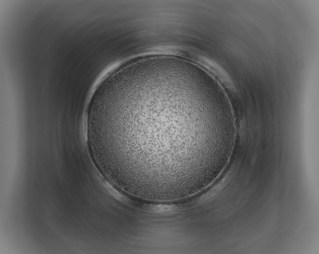 X0000110871180200906251222