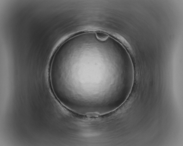 X0000110871183200906251222