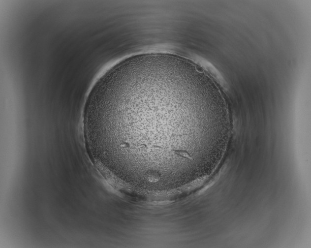 X0000110871184200906251222