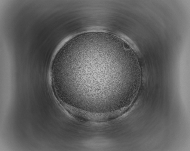 X0000110871188200906251222